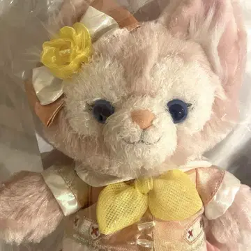 컬러풀 행복 포지 프라시 리나벨
