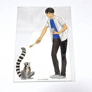 하이큐!! 도부 동물공원 2025 클리어 상 스탠드 팝 카게야마 토비오