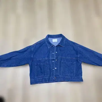 HARE 크롭 데님 자켓