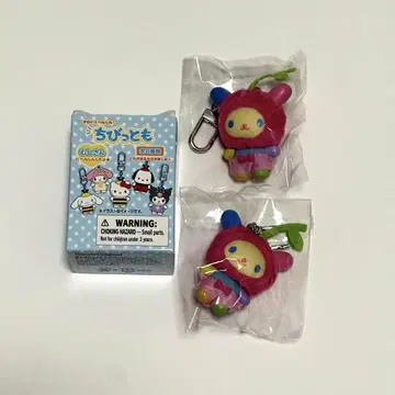 조금이라도 토끼꽃 과일