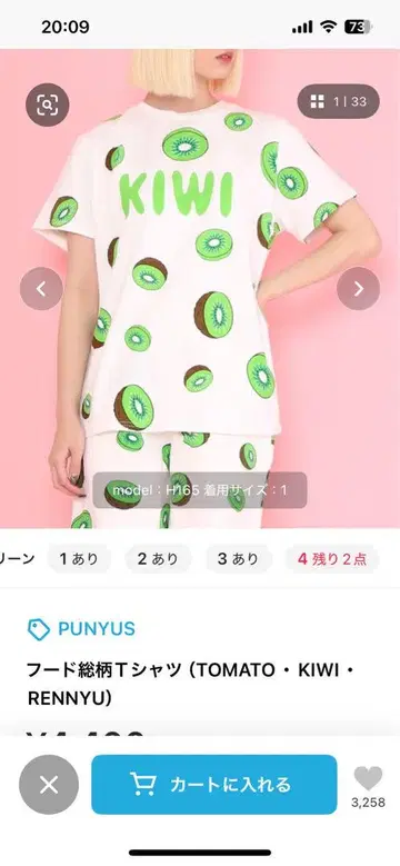 PUNYUS 후드 올 패턴 티셔츠 키위