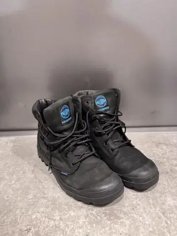팔라듐 스포츠 커프 WPN 28.5cm