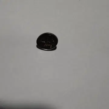 실버 타원형 핑 배치 S 마크