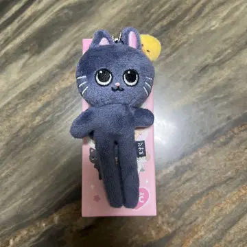 RIIZE PARK 원빈 토냥덕 롱 키링