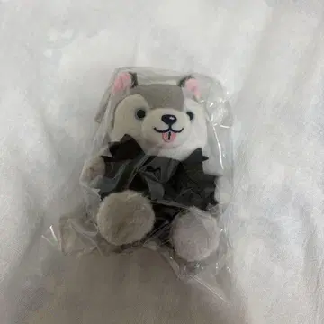 노키도라 타오리 개 마쓰무라 호쿠토 봉제 인형