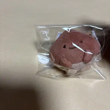 스미코구라시 모두 모입니다 테노리 봉제 인형 밤 밤