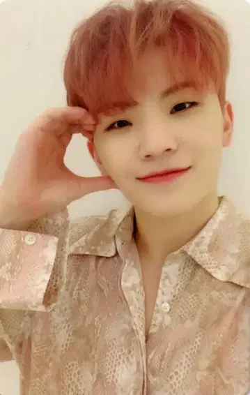 SEVENTEEN 춤추는 꽃잎 WOOZI 트레이딩 카드