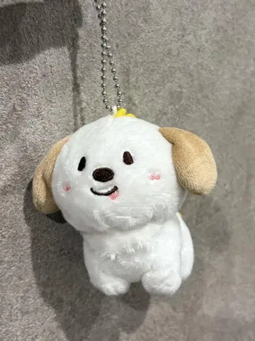 RIIZE 앤톤 몽리온이