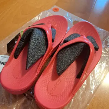 Oofos 비치 샌들 네온 베리