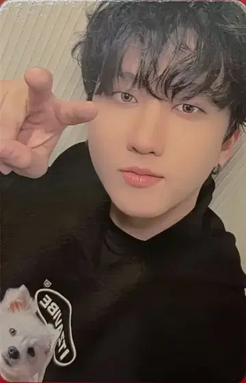 스트레이키즈 타워레코드 창빈 ATE