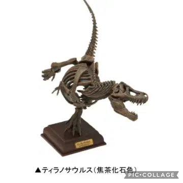 네이처 테크니컬러 고생물 가챠 티라노사우루스 짙은 갈색 화석 색상