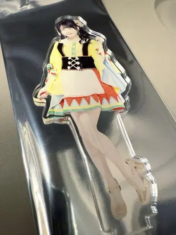 AKB48 다이마루 도쿄점 의상전 아크릴 스탠드 헝겊 가방 백