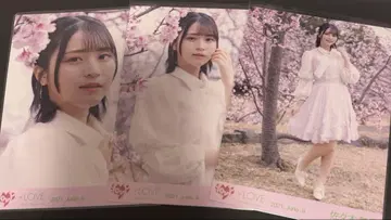 이코러브 사사키 마이카 브로마이드 컴프