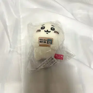 치이카와 (먼작귀) 해수욕장 마스코트