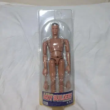 body builders 보디빌더 피규어 소체