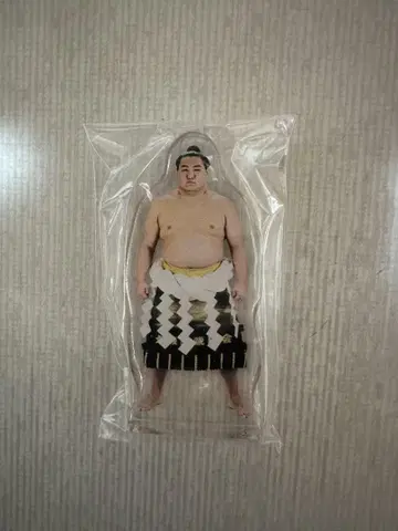 호쇼류 아크릴 스탠드 나고야 장소 가챠가챠