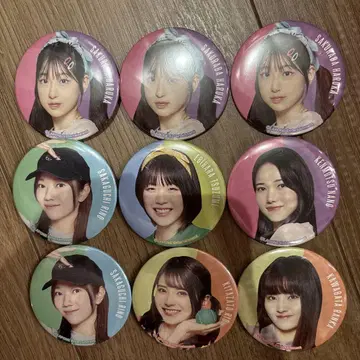 AKB48 그룹 캔뱃지 9개 세트