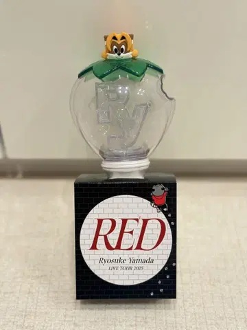 Ryosuke yamada RED 응원봉