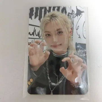 필릭스 felix dominate 서울 md