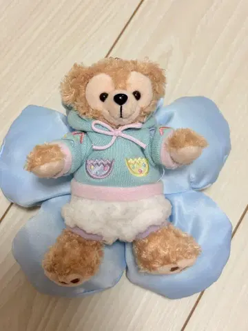 즉시 구매 가능! 가격 인하 가능! 캠 파인드 스프링 닷피 누이바