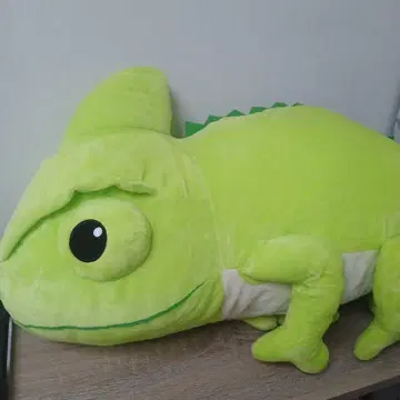 꼬리가 빙글빙글 도는 레온