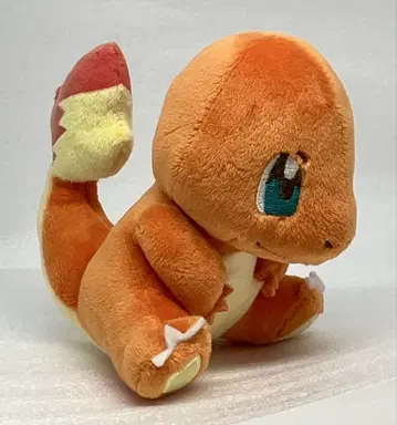 포켓몬 센터 캔버스 봉제 인형 히토카게 택 포함