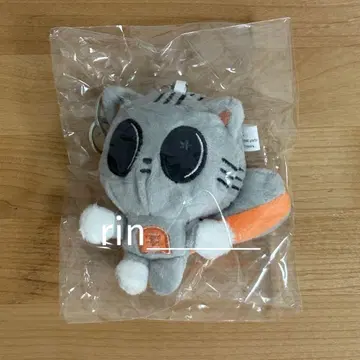 TXT 다고냥 키링