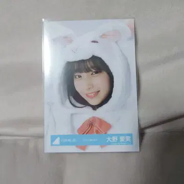 오노 마나미 브로마이드