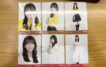 노기자카46 브로마이드 스가하라 사츠키 오사카 라이브 T 도트 컴프
