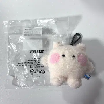 treasure truz minini 루루 참