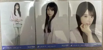 전국 투어 2025 메쉬 니트   야다 모에카 컴프