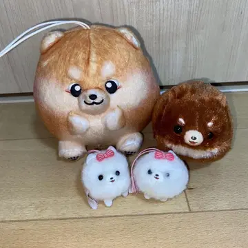 포메라니안 봉제 인형 포메탄