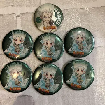 Dr.STONE 이시가미 치쿠루 캐릭터 아트 메탈릭 캔뱃지