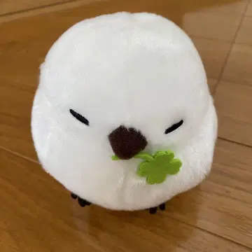 후쿠후쿠 시마연가 컬러풀 플라워
