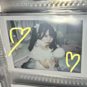 후쿠마루 우사 폴라로이드 생일 2024