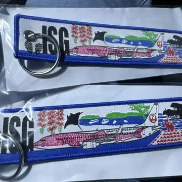ISG 비행기 자수 키링