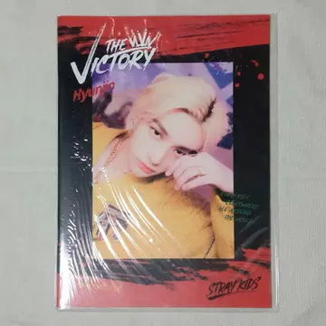 [새상품] Stray Kids THE VICTORY 포토북 현진