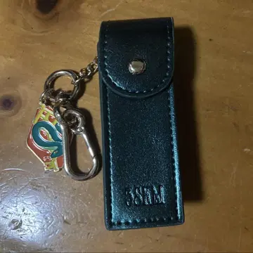 카이세이 립 케이스