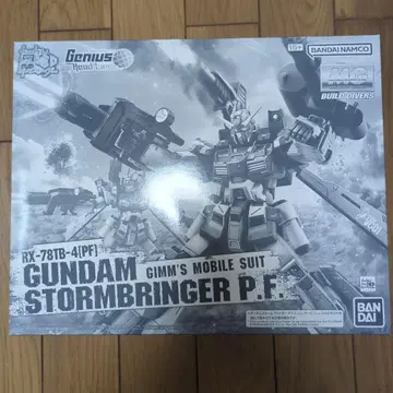 MG 1/100 건담 빌드 다이버스 건담 스톰 브링거 P.F.