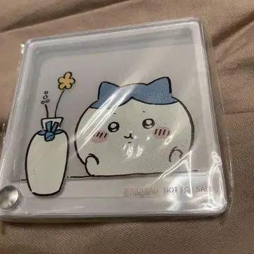 하치와레