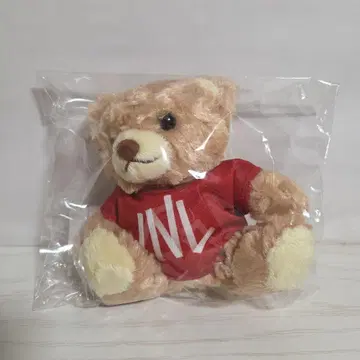 VNL 배구 네이션스 리그 대회 기념 베어 키체인 레드 곰