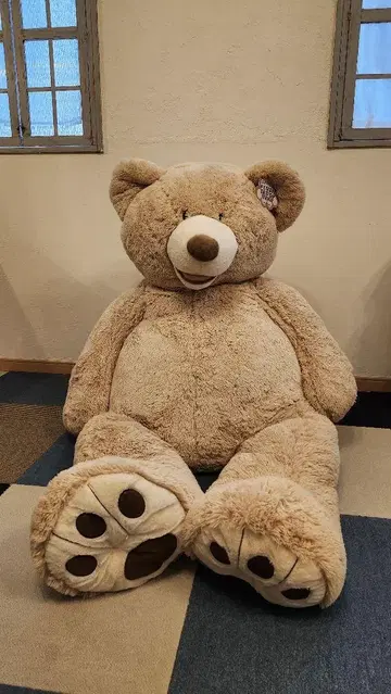 53인치 곰 봉제 인형 코스트코 정품