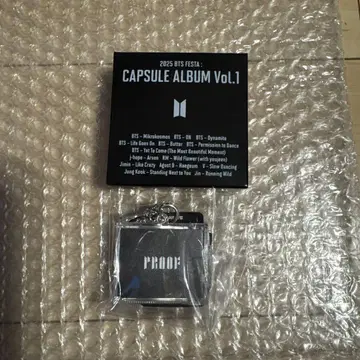 2025 BTS FESTA CAPSULE ALBUM Vol.1 키링