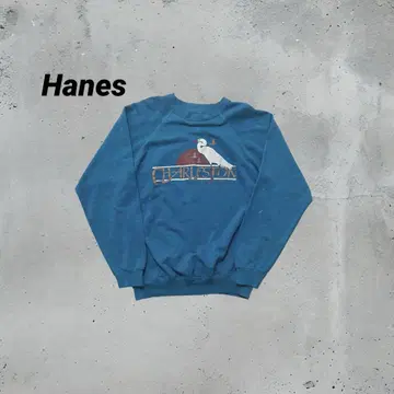 80s Hanes 맨투맨 애니멀 USA제 빈티지 L 사이즈
