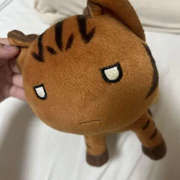 아즈만 대왕 야마마야 봉제 인형
