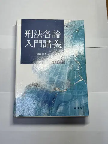 형법 각론 입문 강의