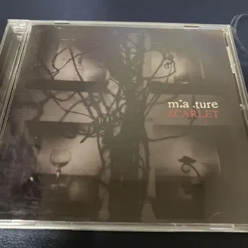m:a.ture 스칼렛