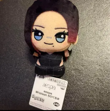 aespa 에스파 SD 인형 카리나 봉제 인형