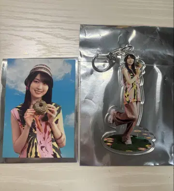 NOGI CAFE 2025 랜덤 트레이딩 카드 아크릴 키링 카키 하야카