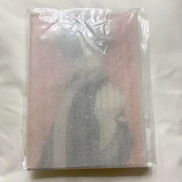 WINDBREAKER 미니 아크릴 아트 소방 준히
